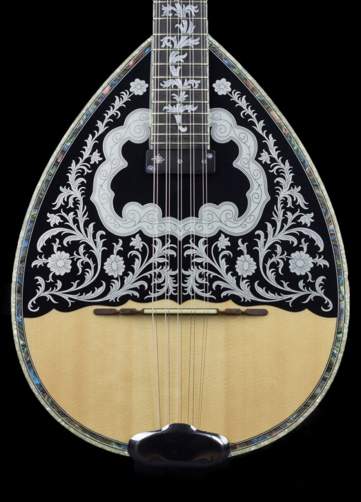 Ten string bouzouki Xiloihos hand made musical instruments