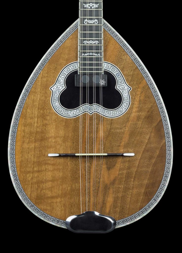 PRO II silent electric bouzouki Xiloihos hand made musical instruments