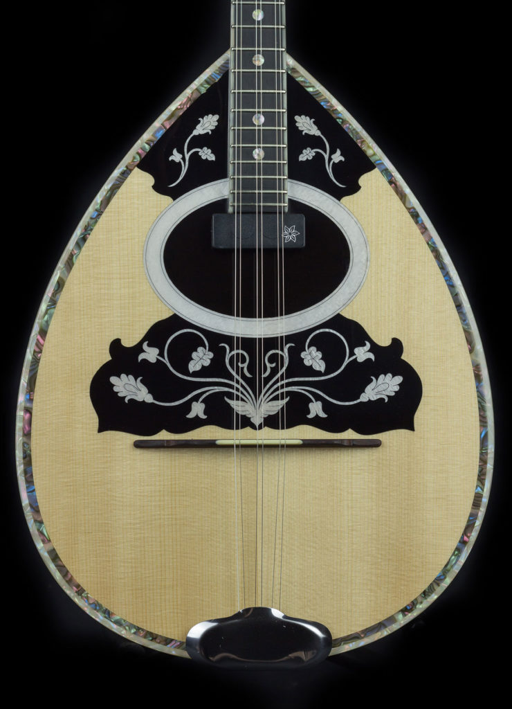 PRO II silent electric bouzouki Xiloihos hand made musical instruments